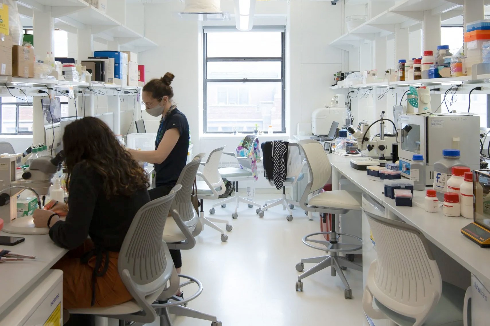 A view of a renovated lab with two students inside working on research.